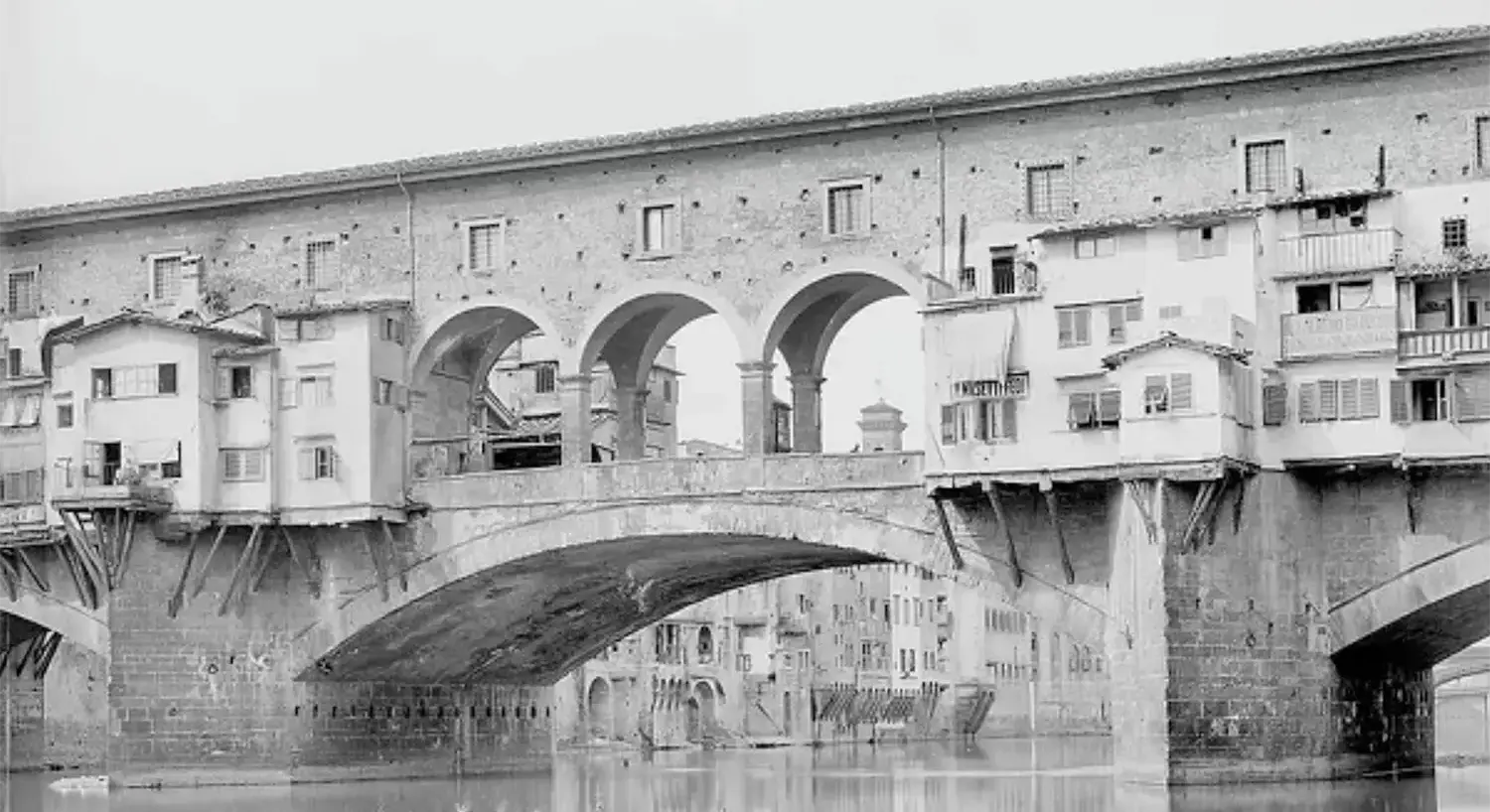 Tinto in capo - Sturlini Firenze